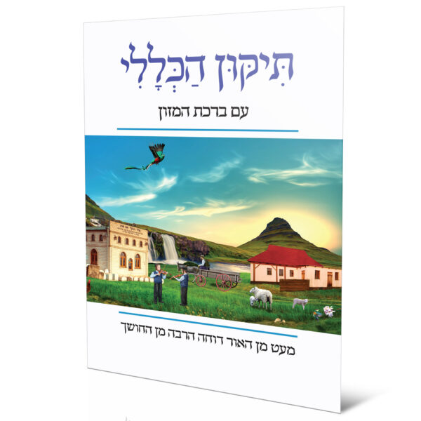 תיקון הכללי ברכת המזון בעש"ט ילדים כינור